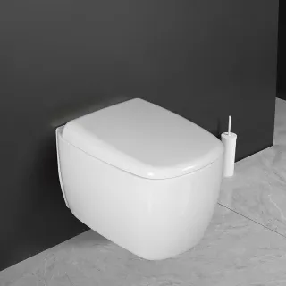 Унитаз подвесной Milleau MIEL MYL042SGW белый