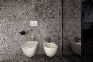 Смеситель для биде Gessi Flessa 54007.239 брашированная сталь