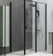 Душевая дверь Allen Brau Priority 140 3.31012.BBA профиль Черный
