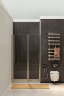 Душевая дверь Allen Brau Priority 160 3.31039.BBA профиль Черный браш