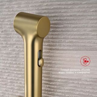 Гигиенический душ со смесителем Raglo R03.52.03 золотой сатин