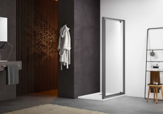 Душевая дверь Aquatek AQ ARI PI 10020GM 100 см оружейная сталь