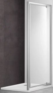 Душевая дверь Aquatek AQ ARI PI 10020CH 100см хром