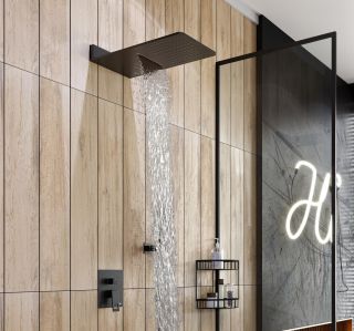 Душевая система Timo Briana SX-7139/03SM чёрный