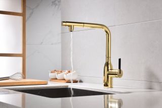 Смеситель для кухни Paulmark Viper Vi213105-G золото