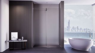 Душевая дверь Veconi Premium Trento PTDW-50GR, 1400x2000, брашированный графит, стекло прозрачное