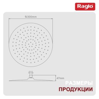 Верхний душ Raglo R451.56.09 графит