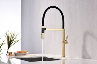 Смеситель для кухни Paulmark Leader Le214101-SBG светлое брашированное золото